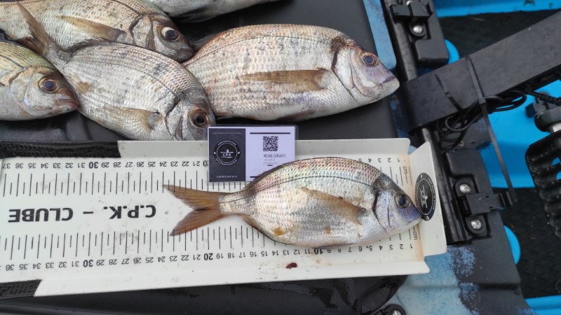 Fish Measure Picture